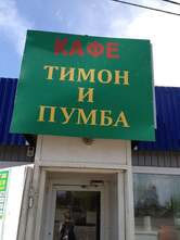 Тимон и Пумба