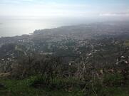 Trattoria del Liberale