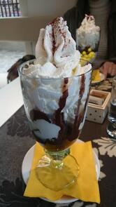 Gelateria Caffetteria Mimosa