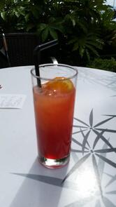 Hôtel Excelsior - Côte d'Azur - Saint-Raphaël