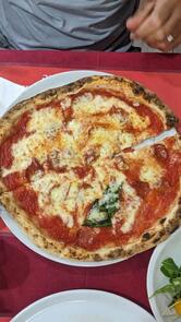 Sandro pizzettata Unica Sede