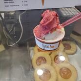 Bar Gelateria Tolini