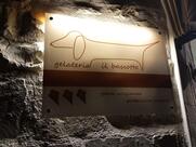il Bassotto Gelateria