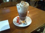 Les Volcans Brasserie Les Paris Mutuels Urbains