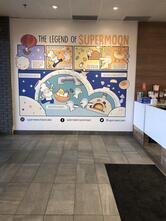 Supermoon Japanese Style Cheesecakes