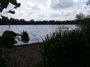 Restaurant Zum Blauen See - Thomas Püttmann