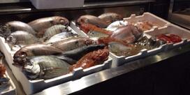 Pescheria Rossini