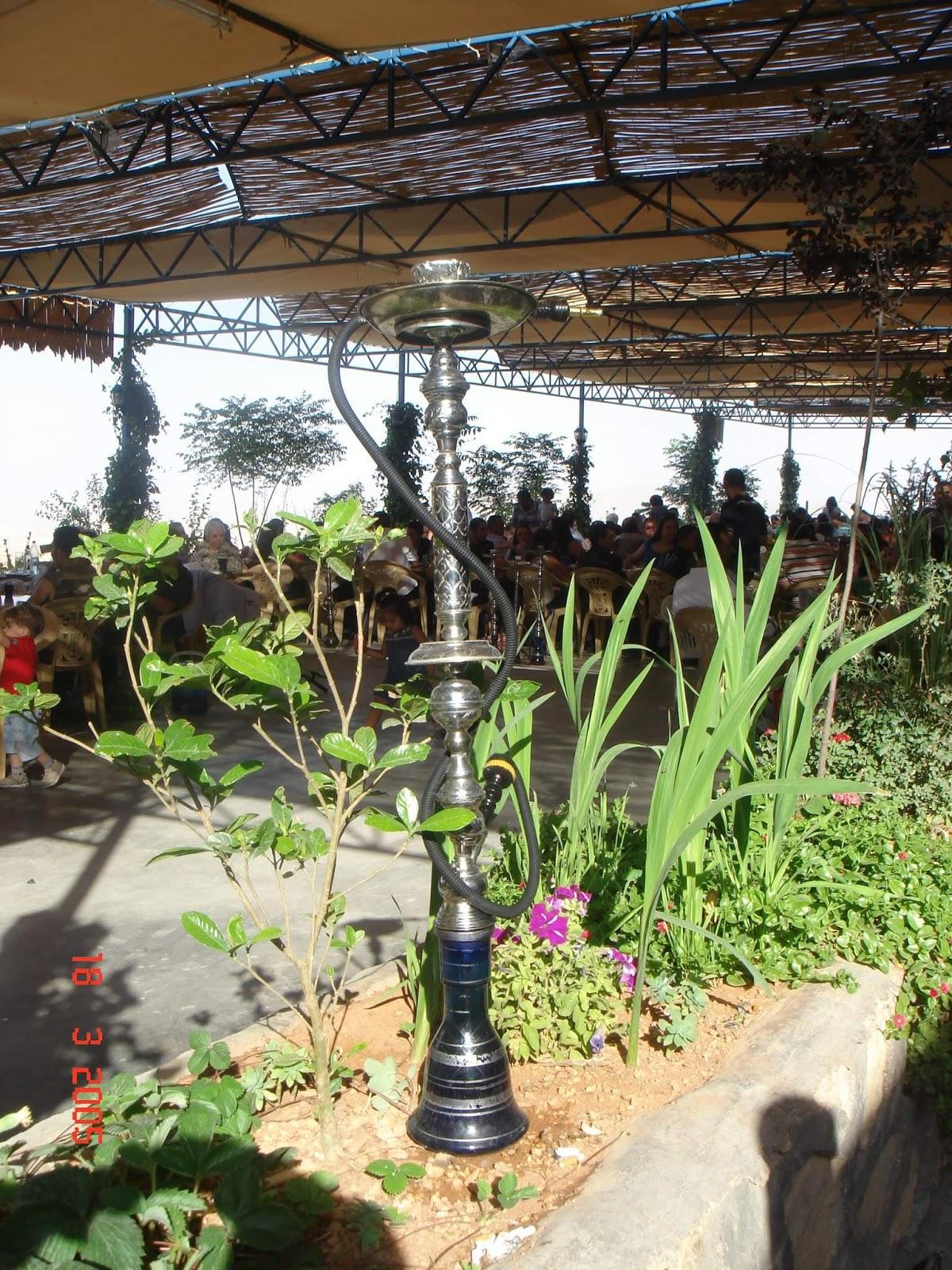 Restaurant and palm park Abu
