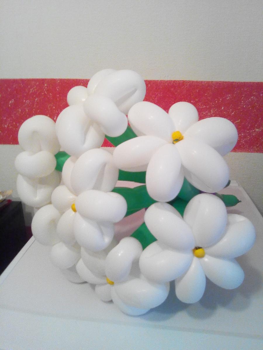 Сушимак