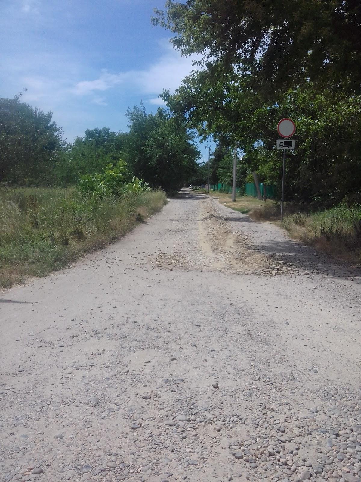 Зимний Сад