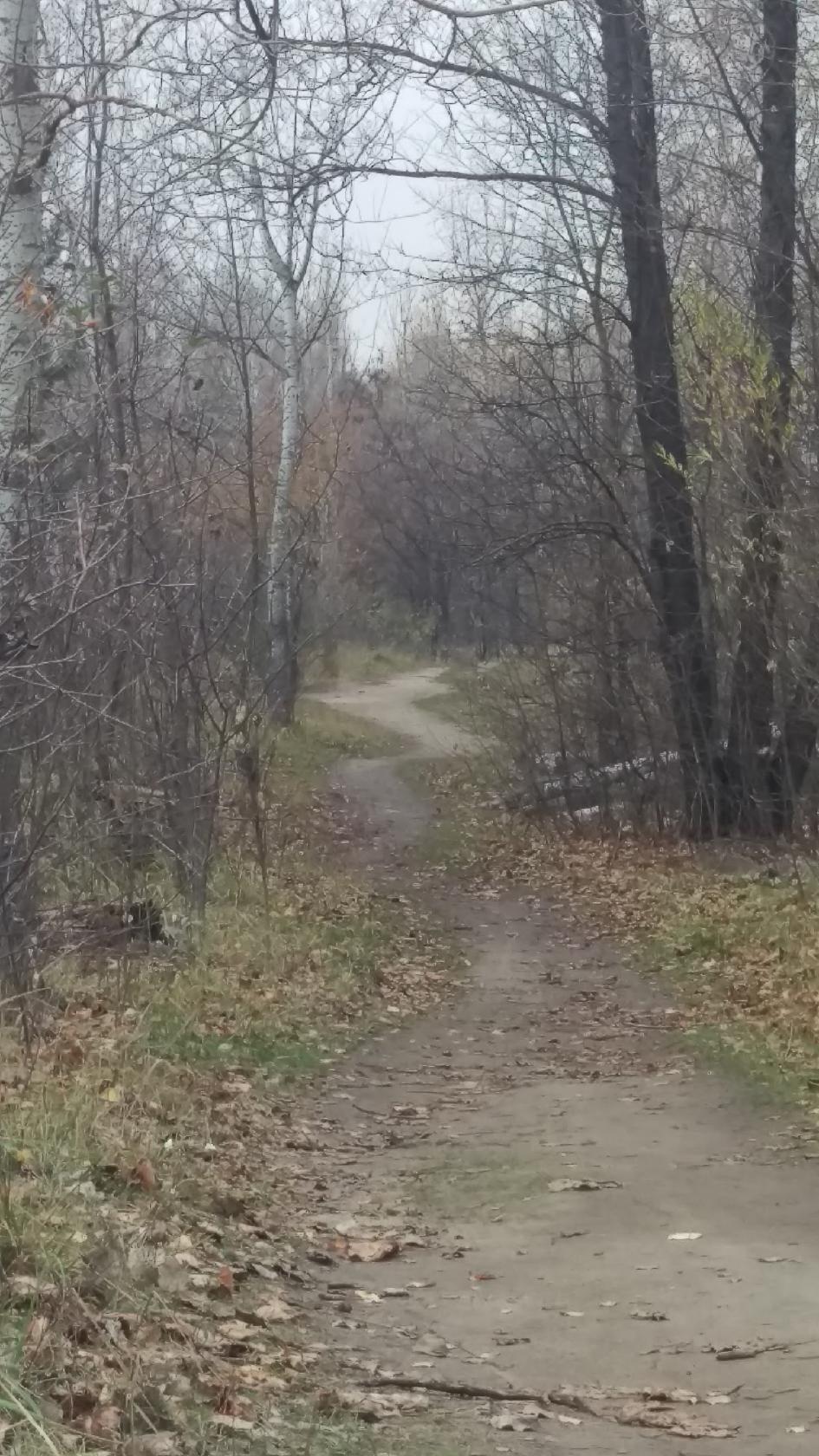 Столовая