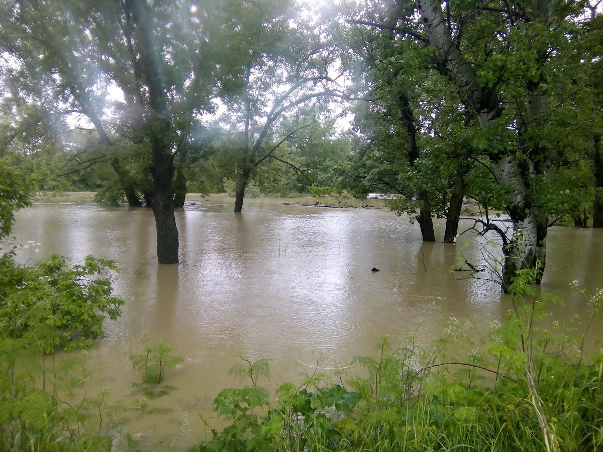 Замок, Кафе