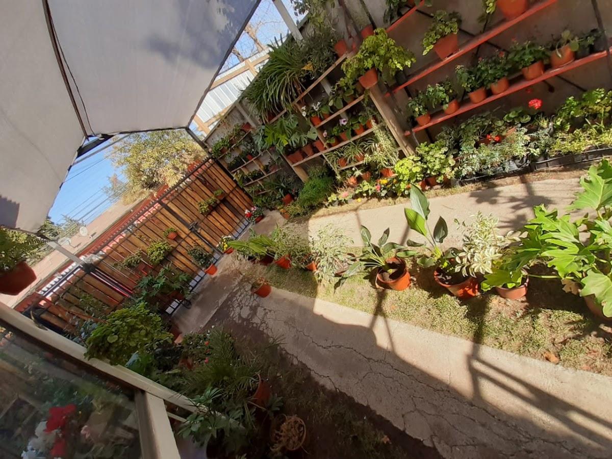 verduras Garden