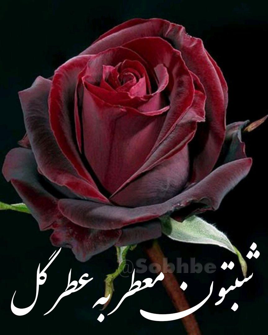 نانوایی چندمنظوره برادران صادق وند