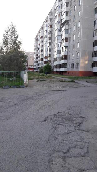 Бар "Wolf"