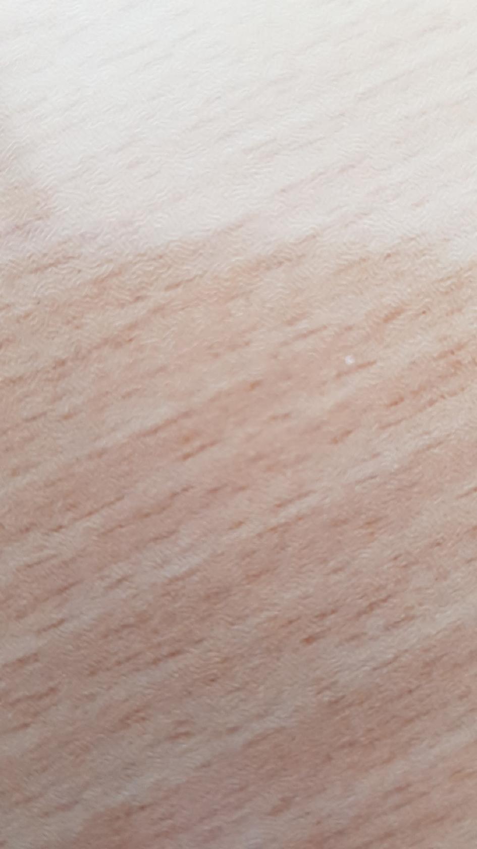 ساندویچ و پیتزا آپادانا