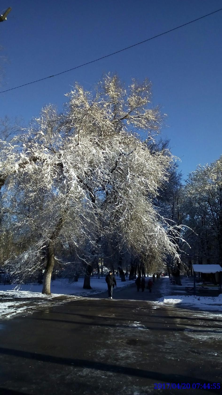 Русский Аппетит