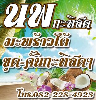 นพ กะทิสดมะพร้าว​ใต้