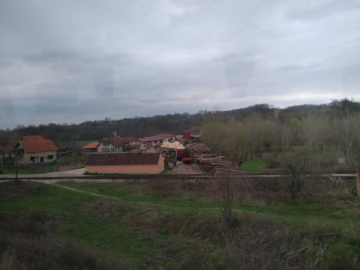 Kod Zote