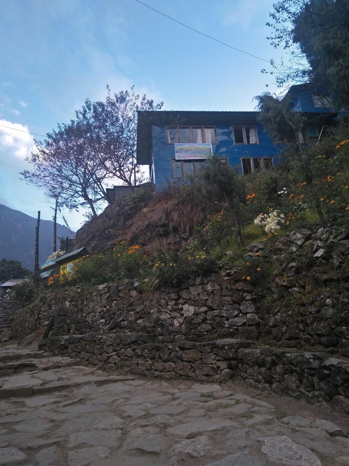 Darjeeling Exotic Lodge Restaurant and Bar