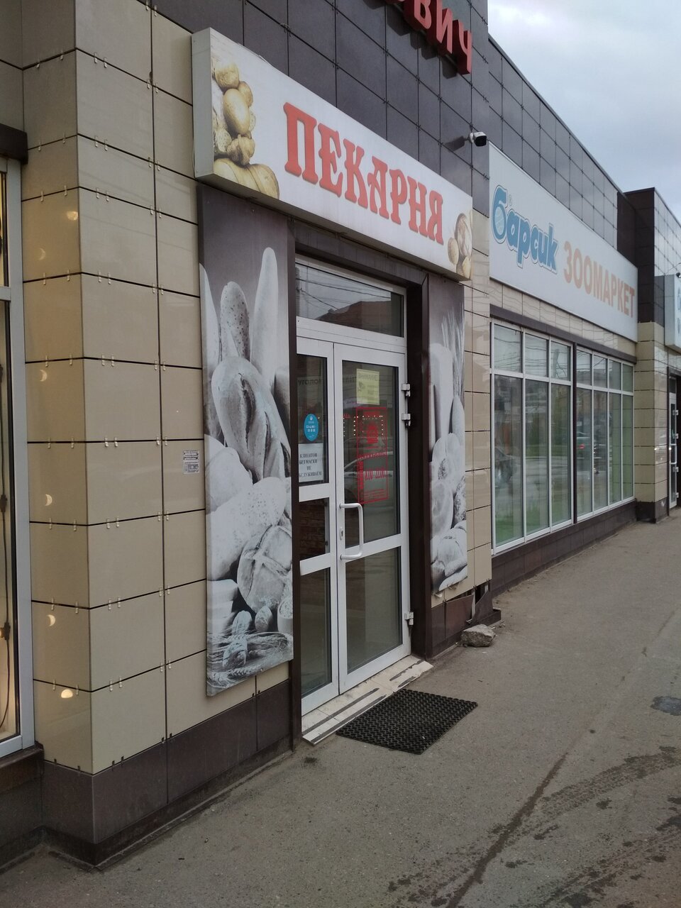Булка Хлебович