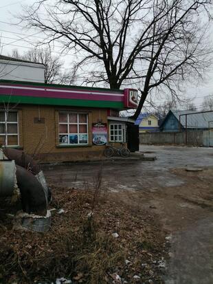 Русич
