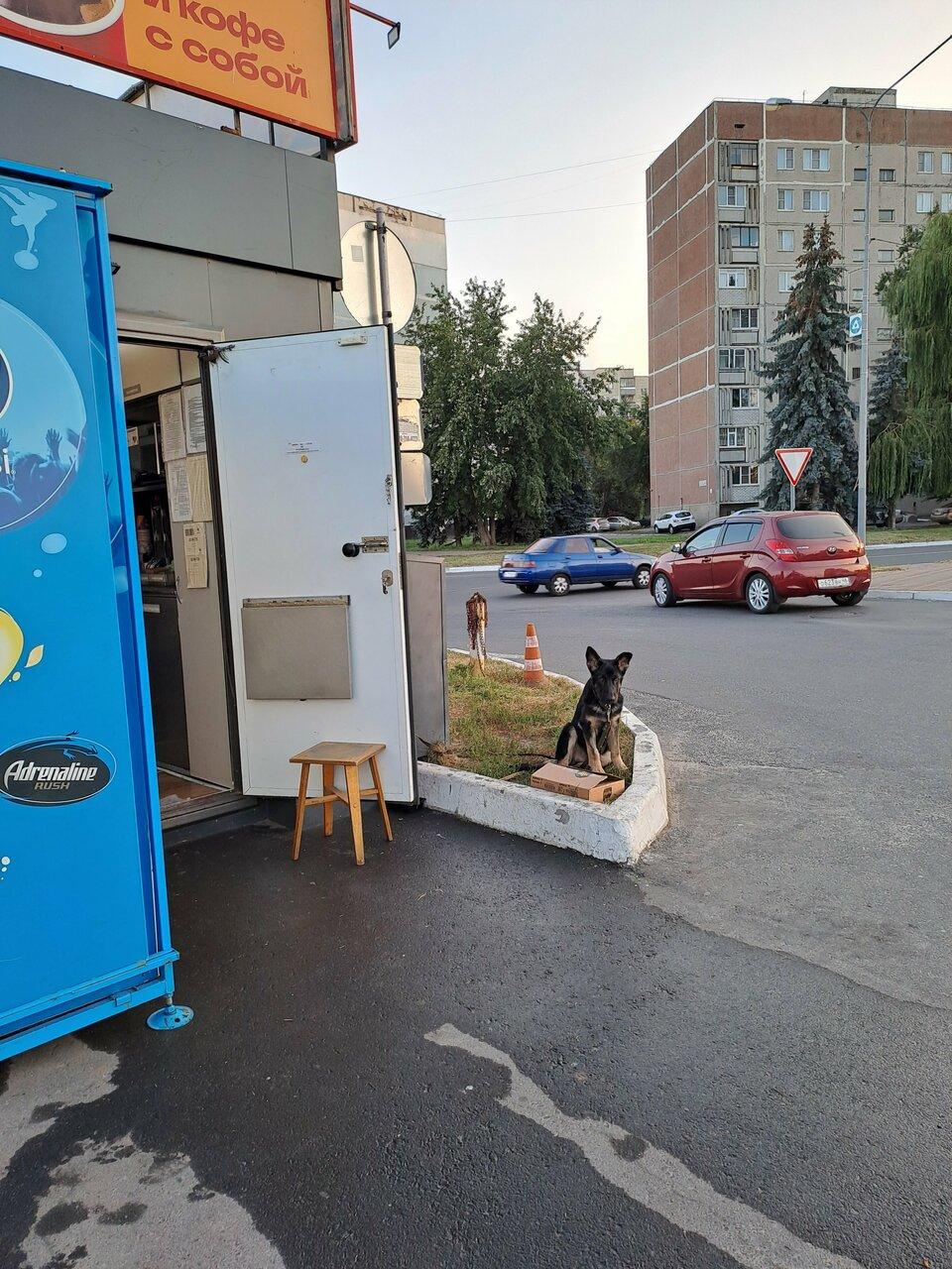 Русский Аппетит