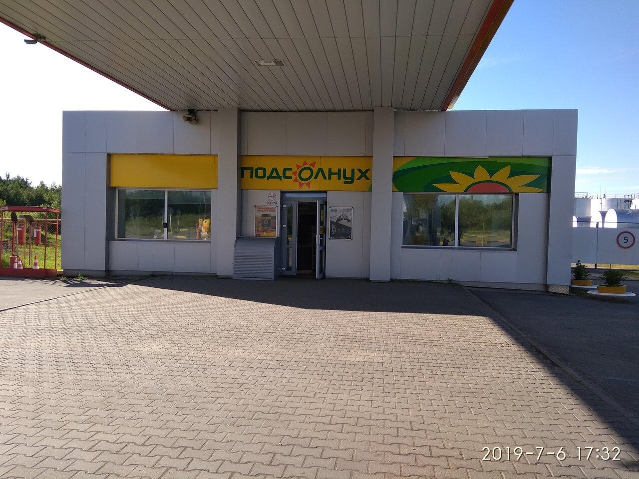 Подсолнух