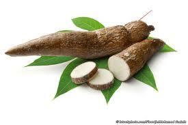 Antojitos La Tierra De La Yuca