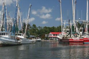 Biloxi Steamers