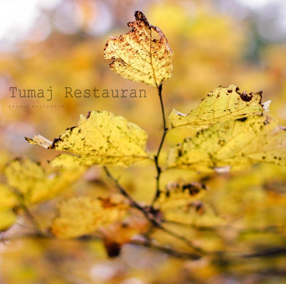 Tumaj restaurant