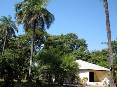 Campament A La Selva