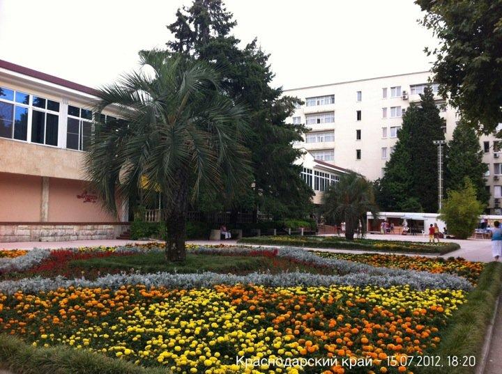 Кафе-столовая