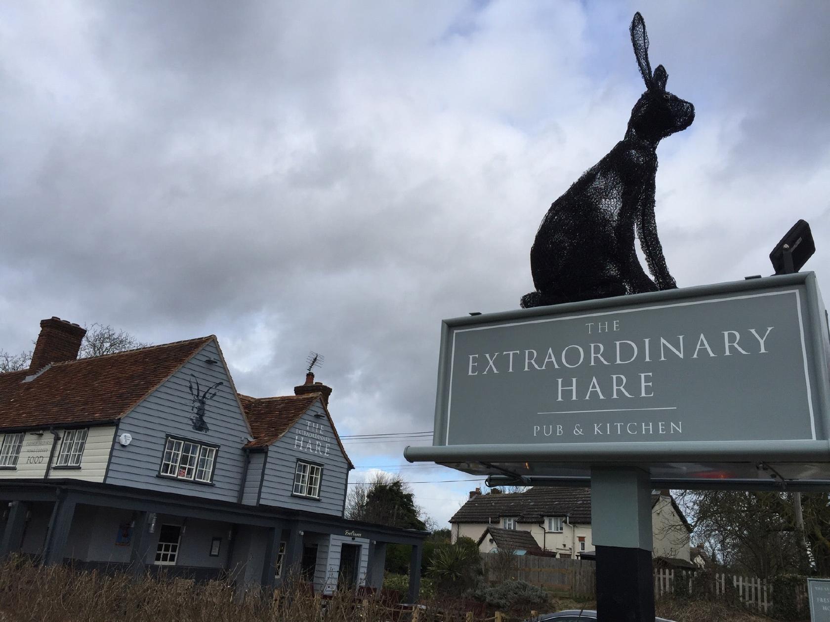 The Extraordinary Hare