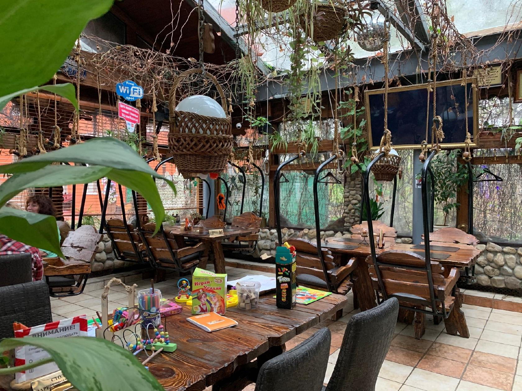 Упитанный енот