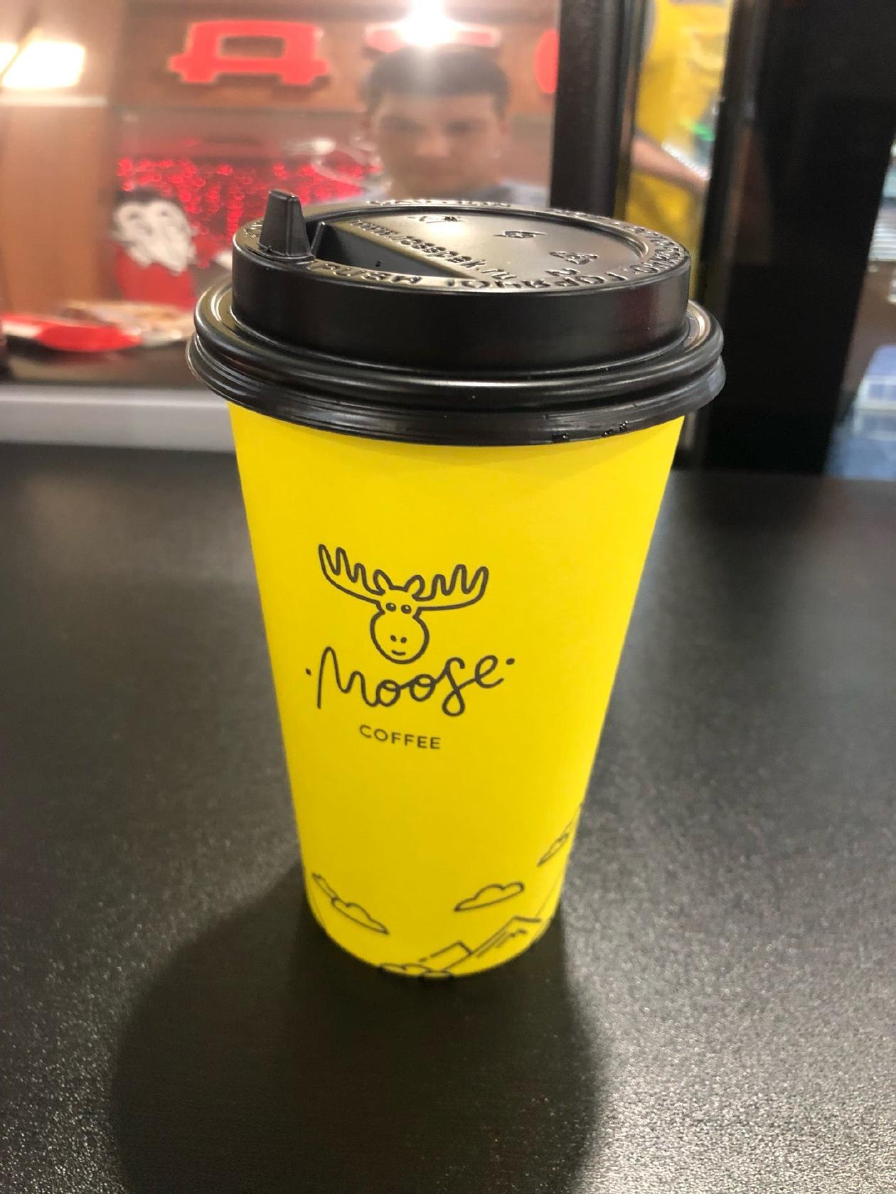 Coffee Moose