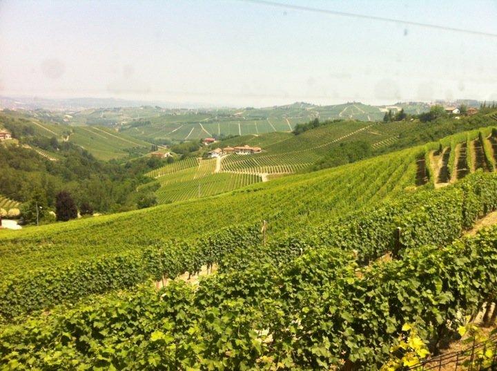 Trattoria Madonna di Como