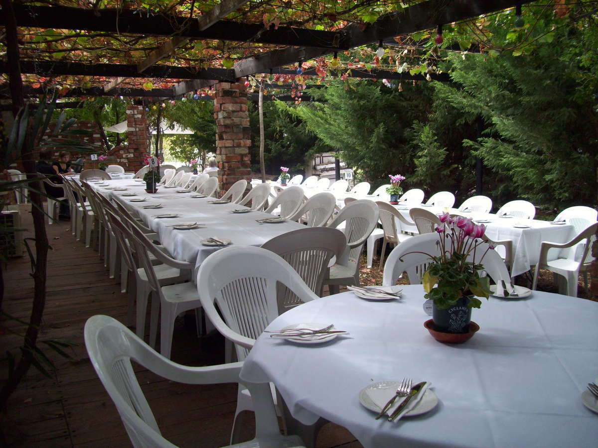 McDougall Wines
