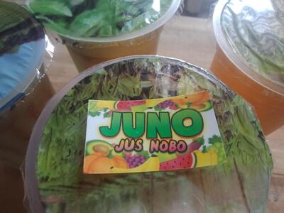 JUS Nobo