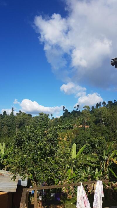 Mwasungia scenery