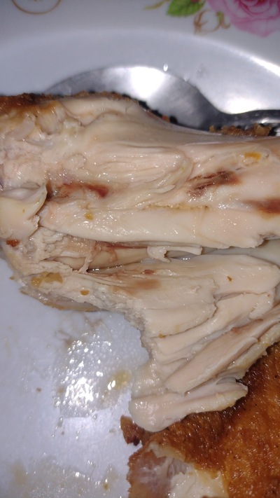 D'Pollo y algo más