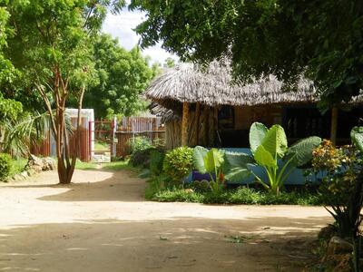 rocky caves gardens