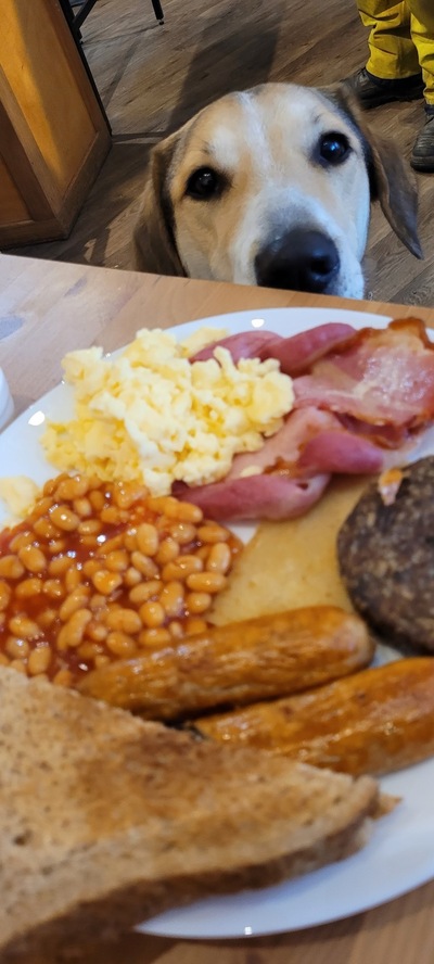 The Cob Cafe