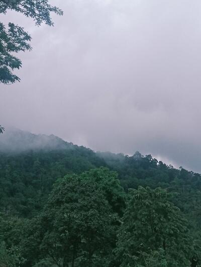 MOK & MOUNTAIN SLOW BAR CAFE