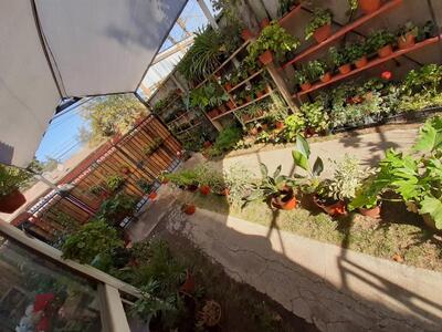 verduras Garden