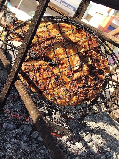 سمك مسكوف قحطان