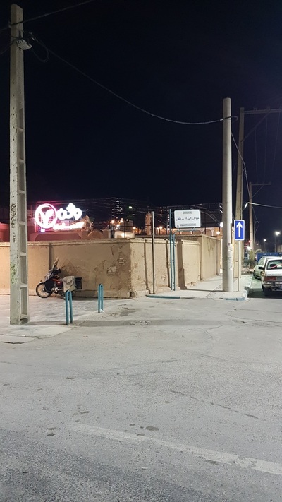 غذای گیاهی وگن