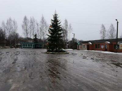 Столовая