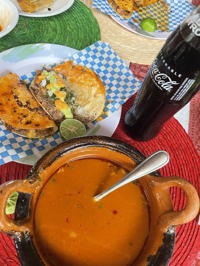 La Palapa Del Bicho