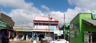 Village Inn
